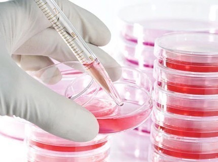 Cell culture media